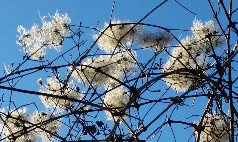 Impressum - Gabriele Zapf